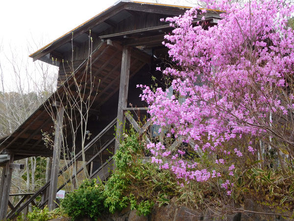 鈴木の薔薇店舗